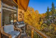 29_590_Wood_Road_Snowmass_Village029_mls